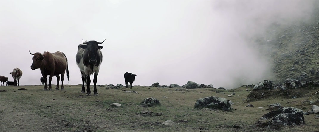 perou-voyage-aventure-video-12