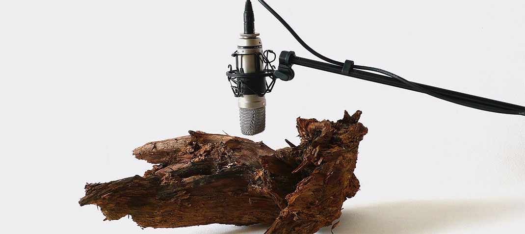 sons-architectures-cartons-musique