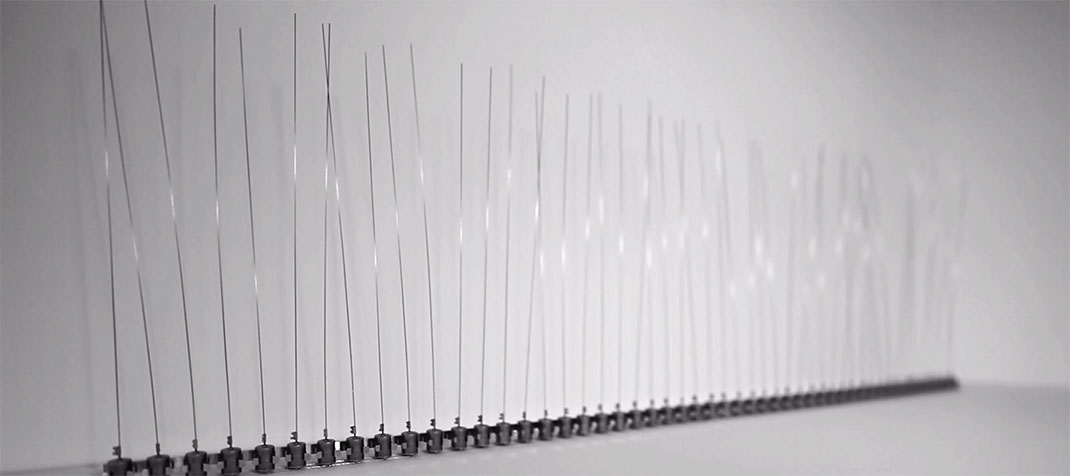 sons-architectures-tiges