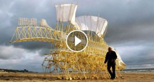 une-animaux-cinetiques