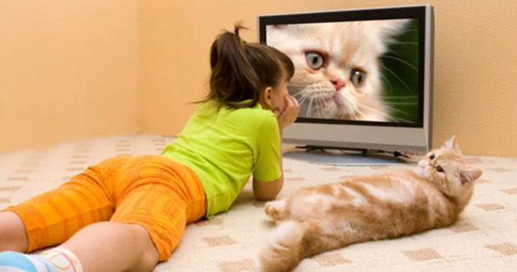 video de chat