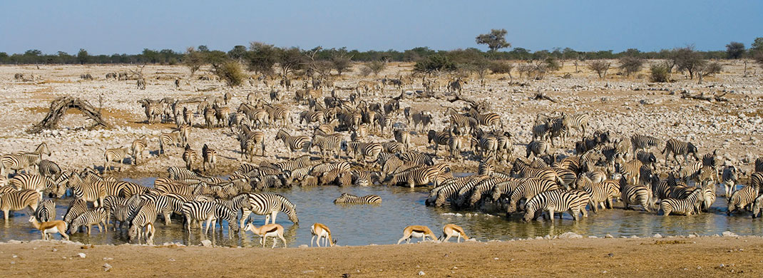 1-Etosha-national-park