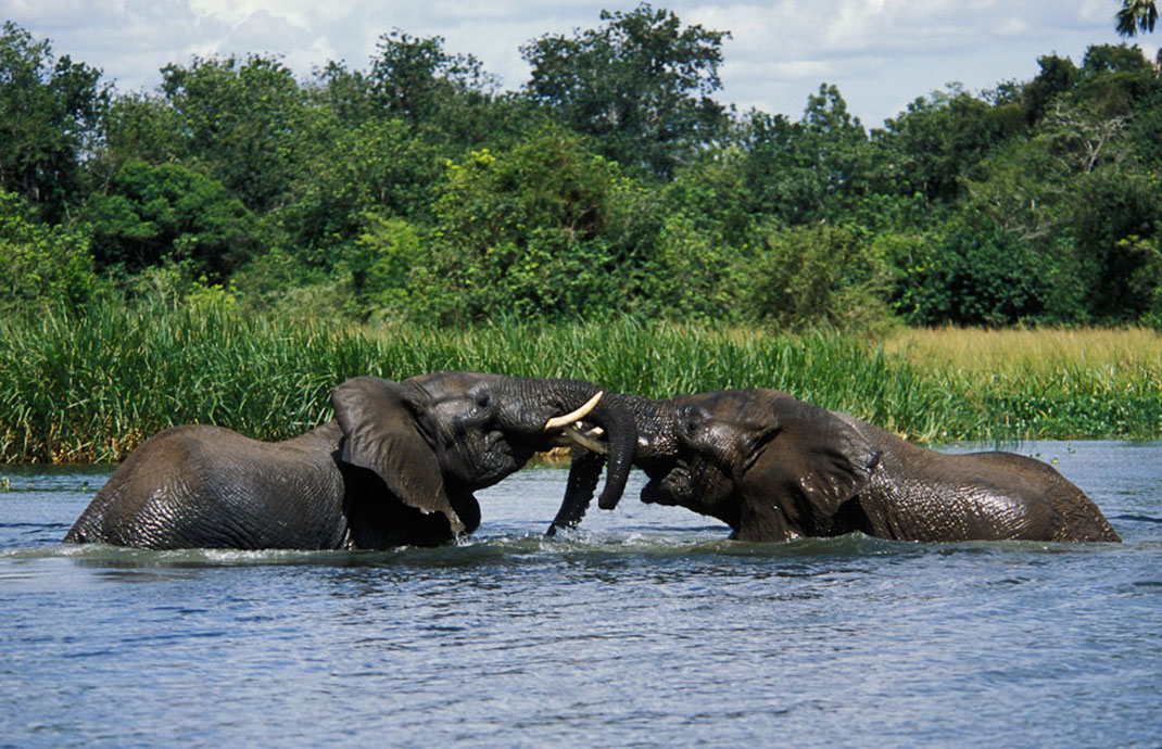 1-Murchison-Falls-National-Park