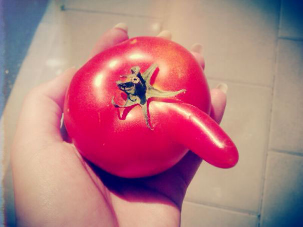 1-fruit-legume-forme-etrange