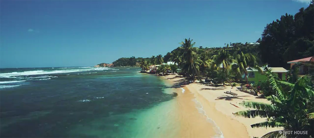 1-je-suis-la-dominique