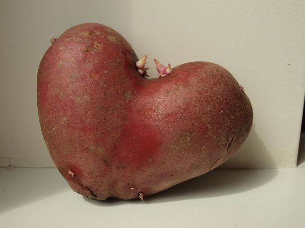 11-fruit-legume-forme-etrange