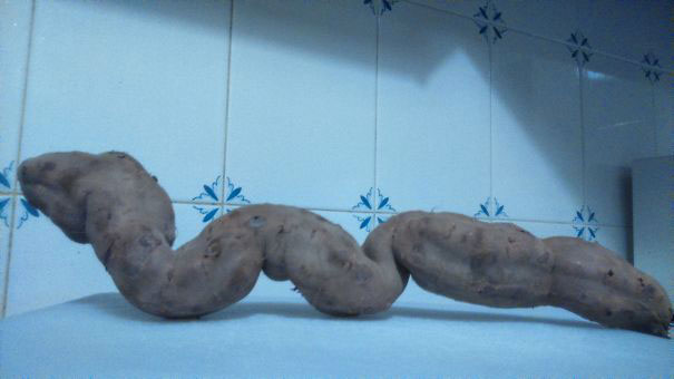 13-fruit-legume-forme-etrange