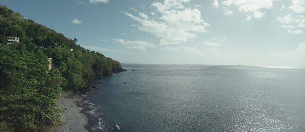 15-je-suis-la-dominique