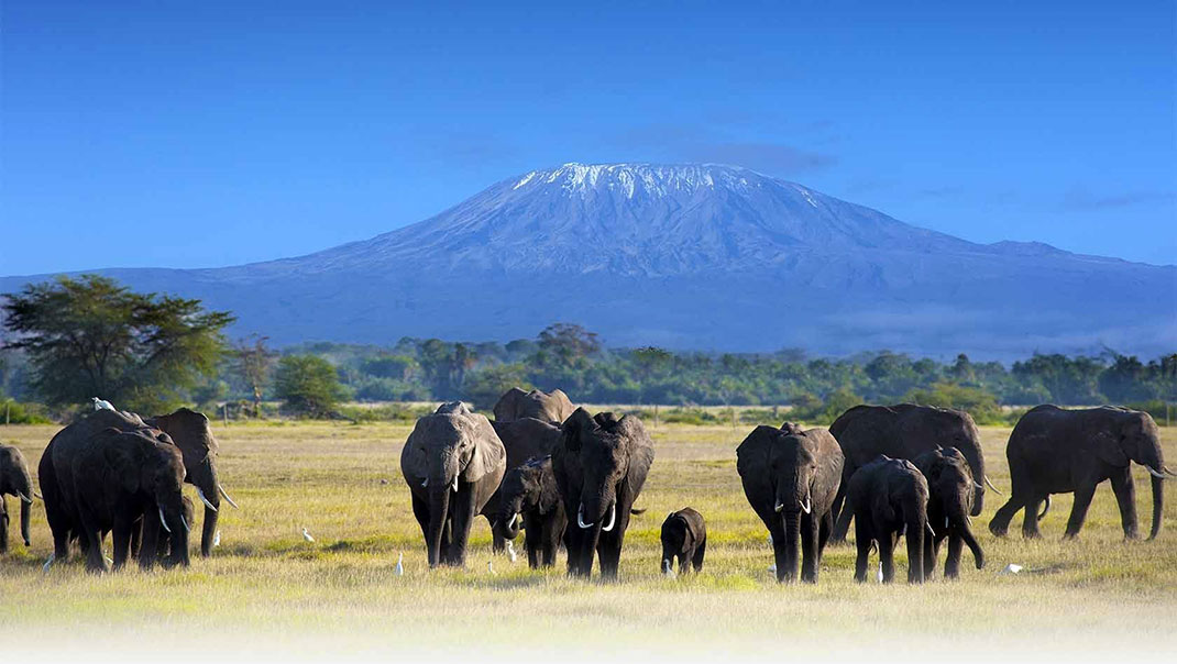2-Killimandjaro-national-park