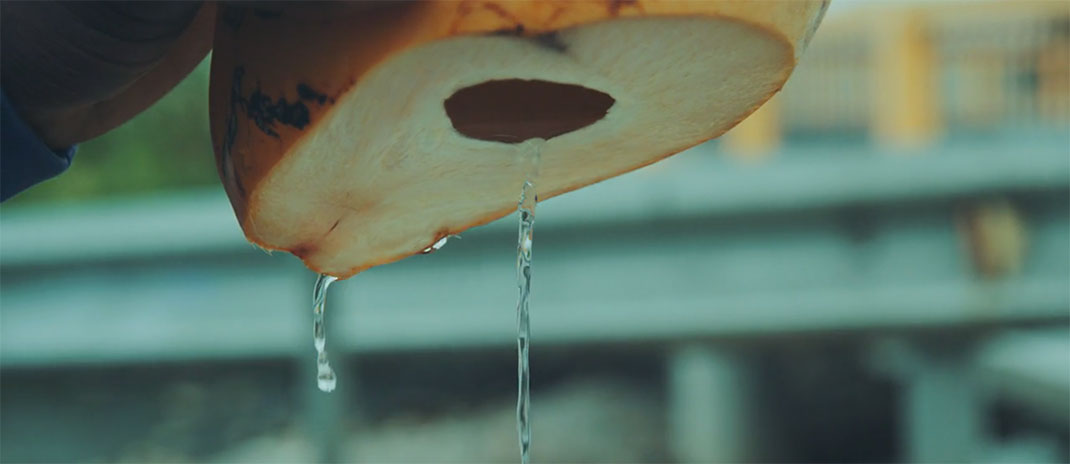 20-je-suis-la-dominique