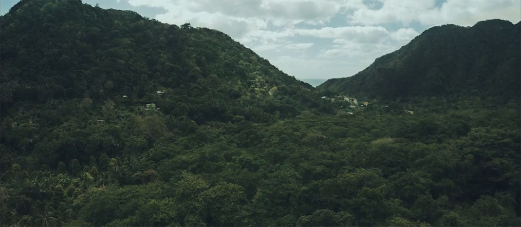 21-je-suis-la-dominique