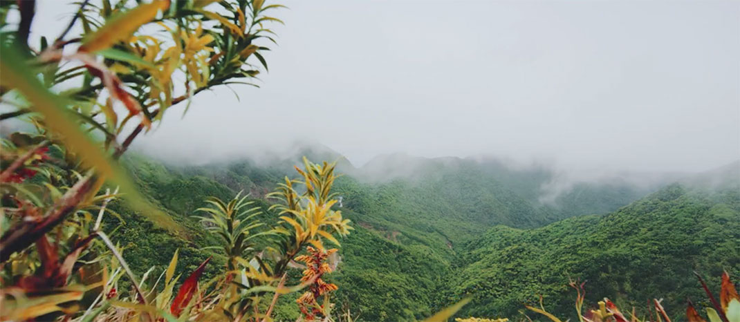 23-je-suis-la-dominique