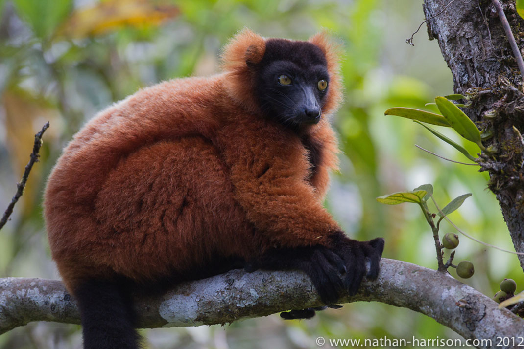 3-Masoala-nation-park