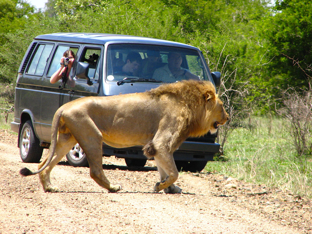 6-Kruger-National-Park