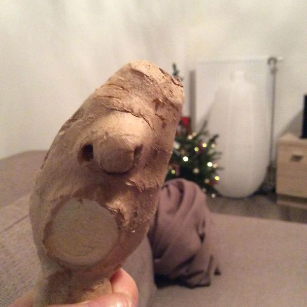 7-fruit-legume-forme-etrange