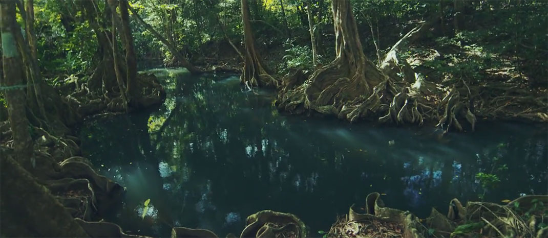 7-je-suis-la-dominique