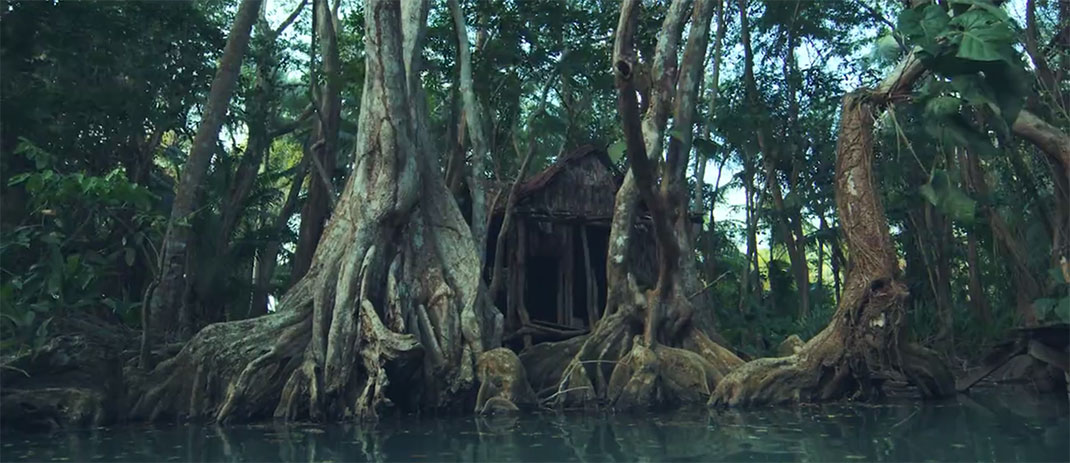 8-je-suis-la-dominique