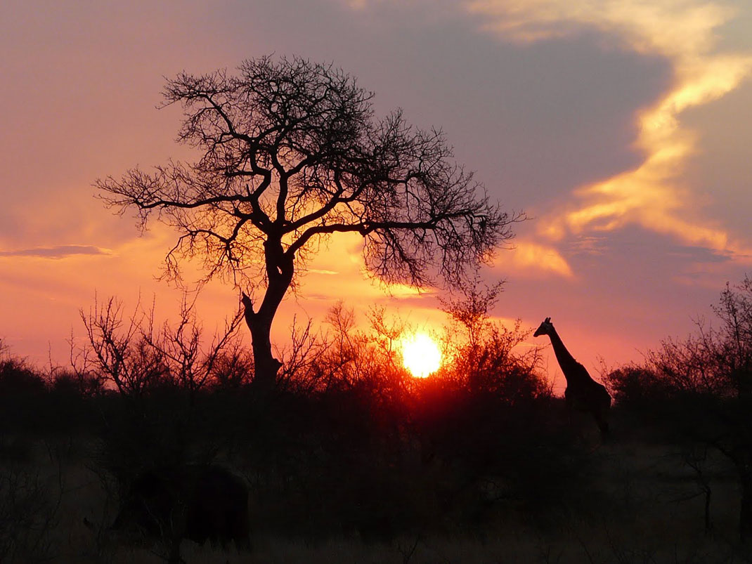 9-Kruger-National-Park