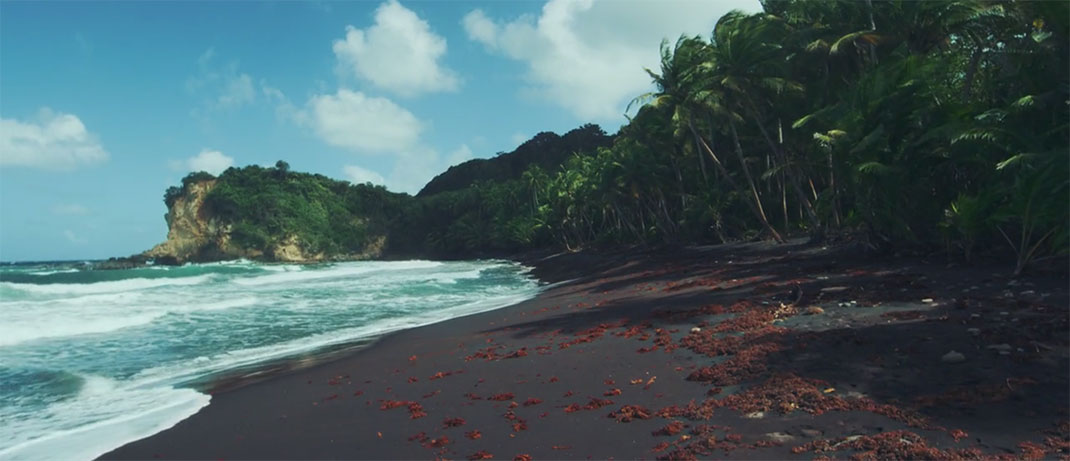 9-je-suis-la-dominique