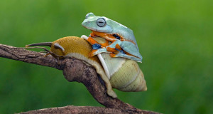 image-de-la-semaine-une