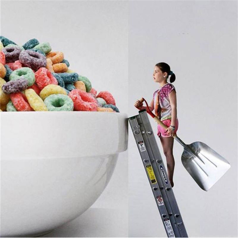 photo-assemblage-echelle