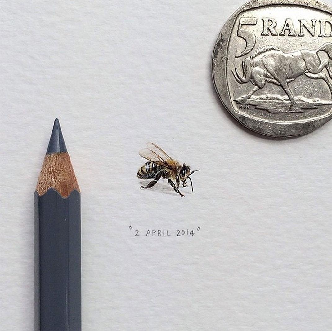 3-dessins-miniatures