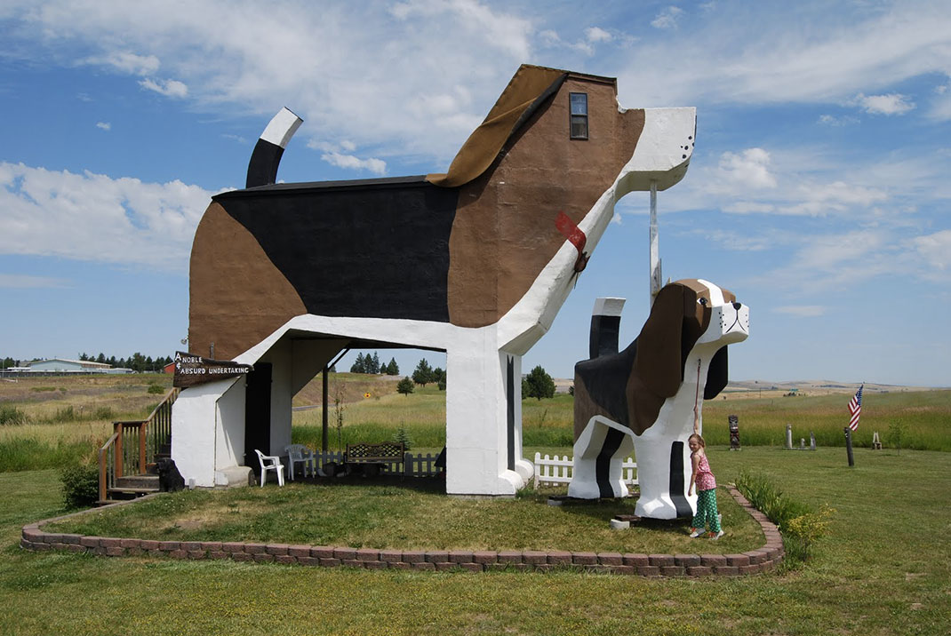 Dog-Bark-Park-Inn
