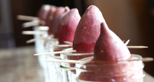 legume-inspiration-nature-alimentation-une