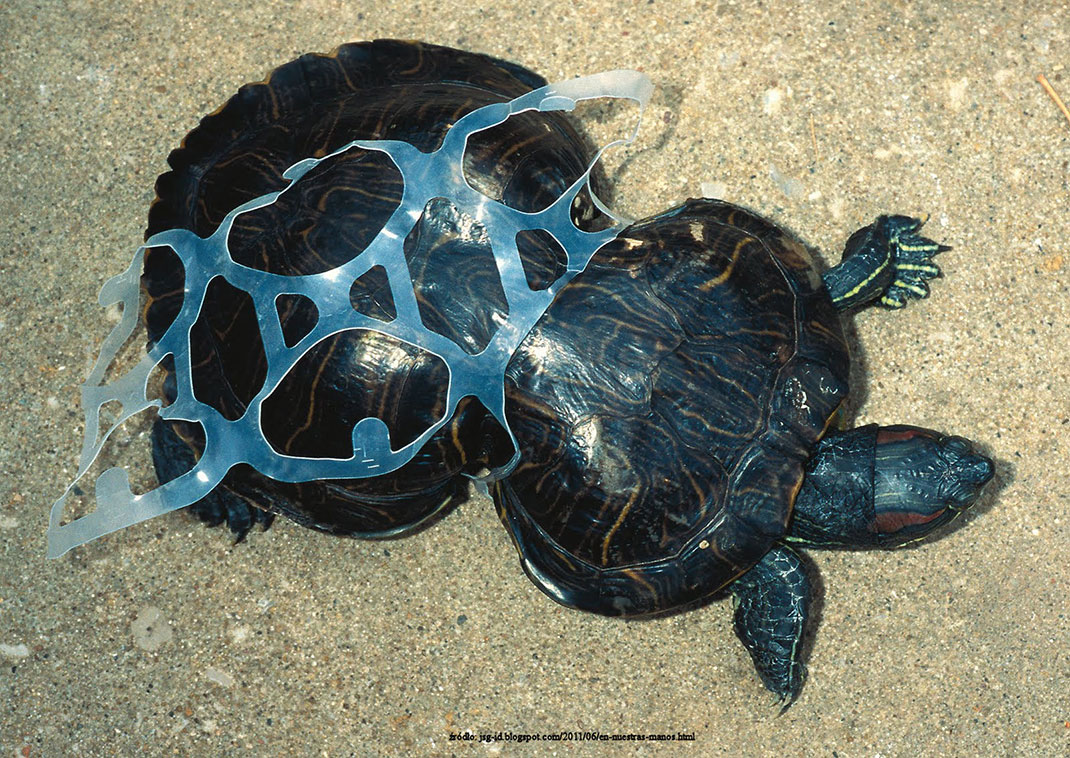 tortue-plastique-animaux