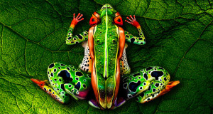 une-animaux-peints-corps