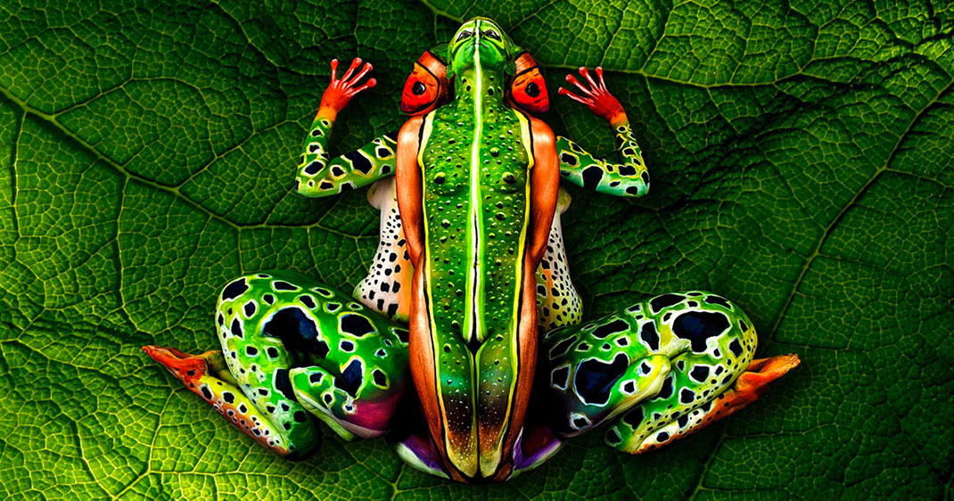une-animaux-peints-corps