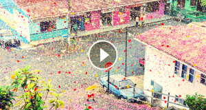 une-petales-fleur-pub-sony