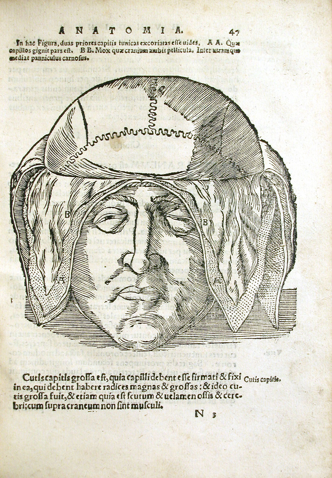 01-craneairlibre-ouhos-OU-History-of-Science-Collection