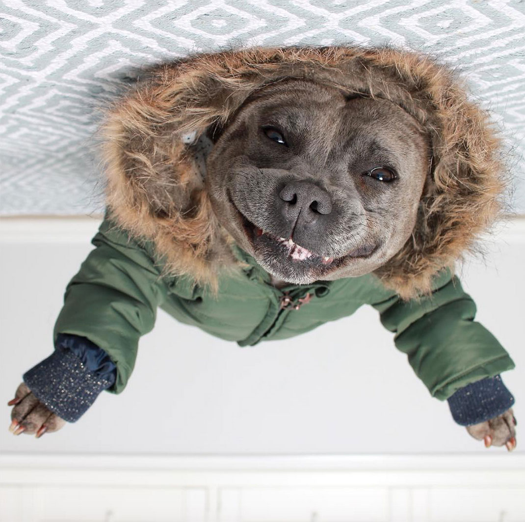 02-the_blueboys-vesteverte