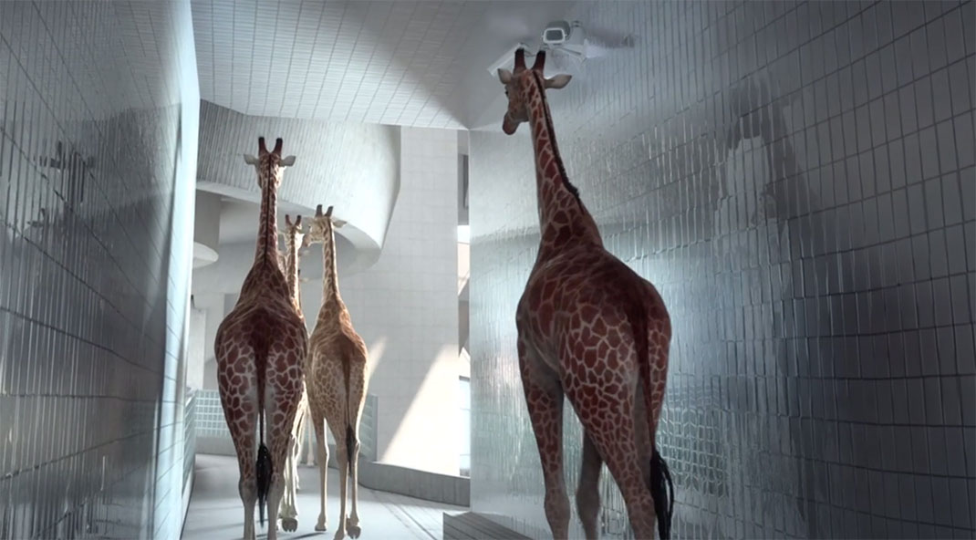 04-couloir-Nicolas-Deveaux