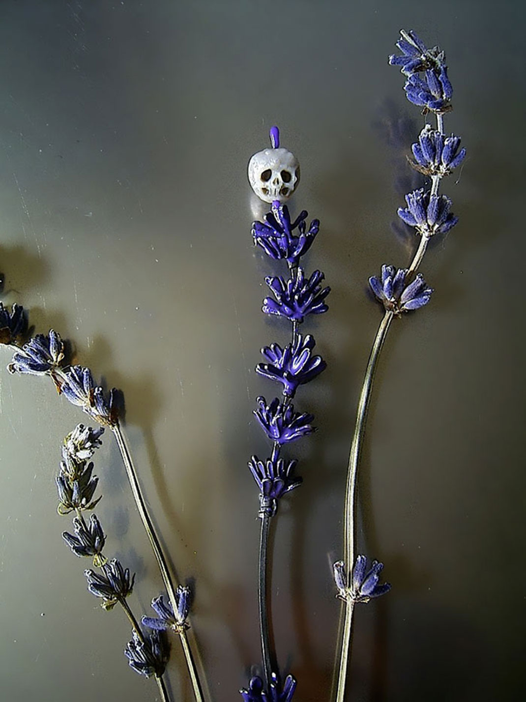 04-cranelavande-shinjinakaba