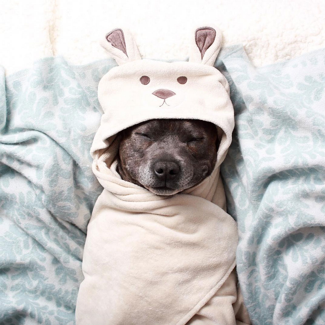 04-the_blueboys-vesteoreilles