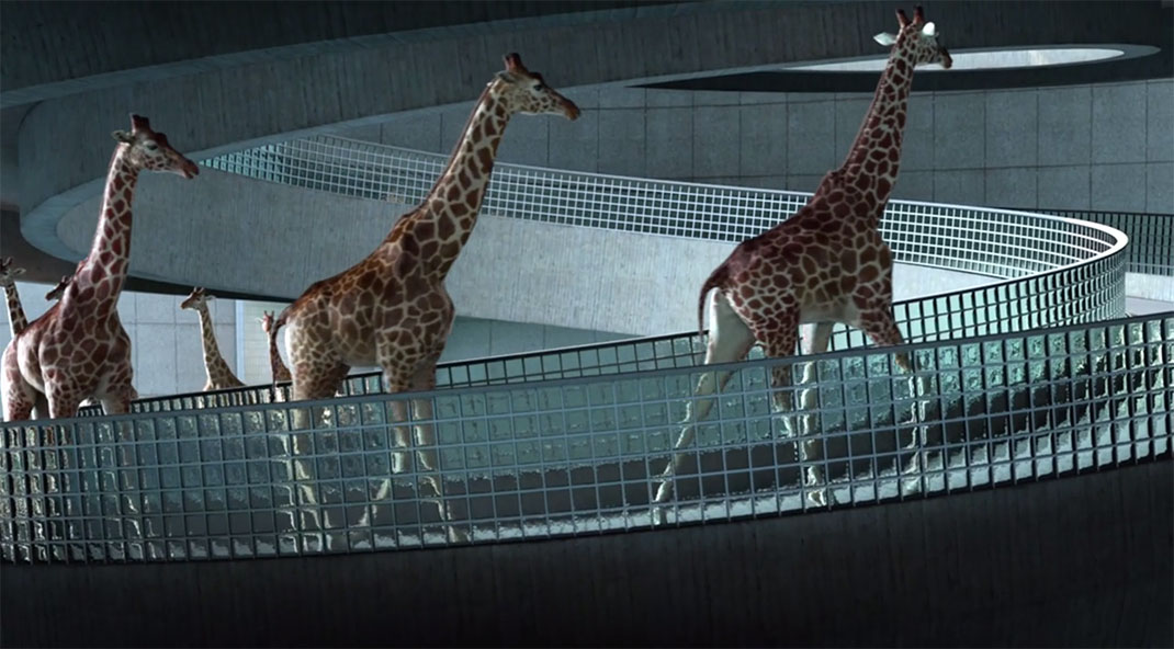 05-rampe-Nicolas-Deveaux