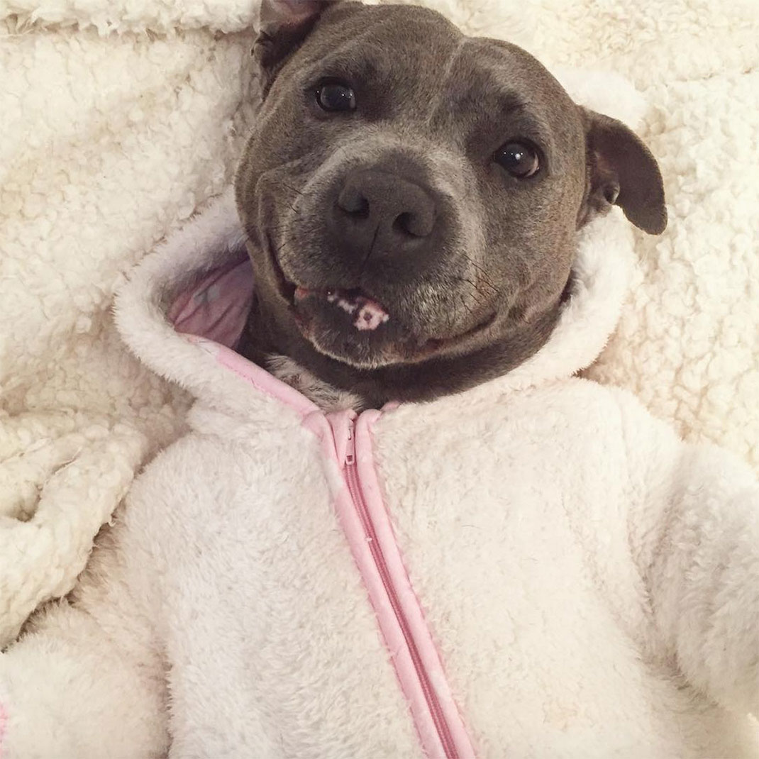 05-the_blueboys-grenouillererose