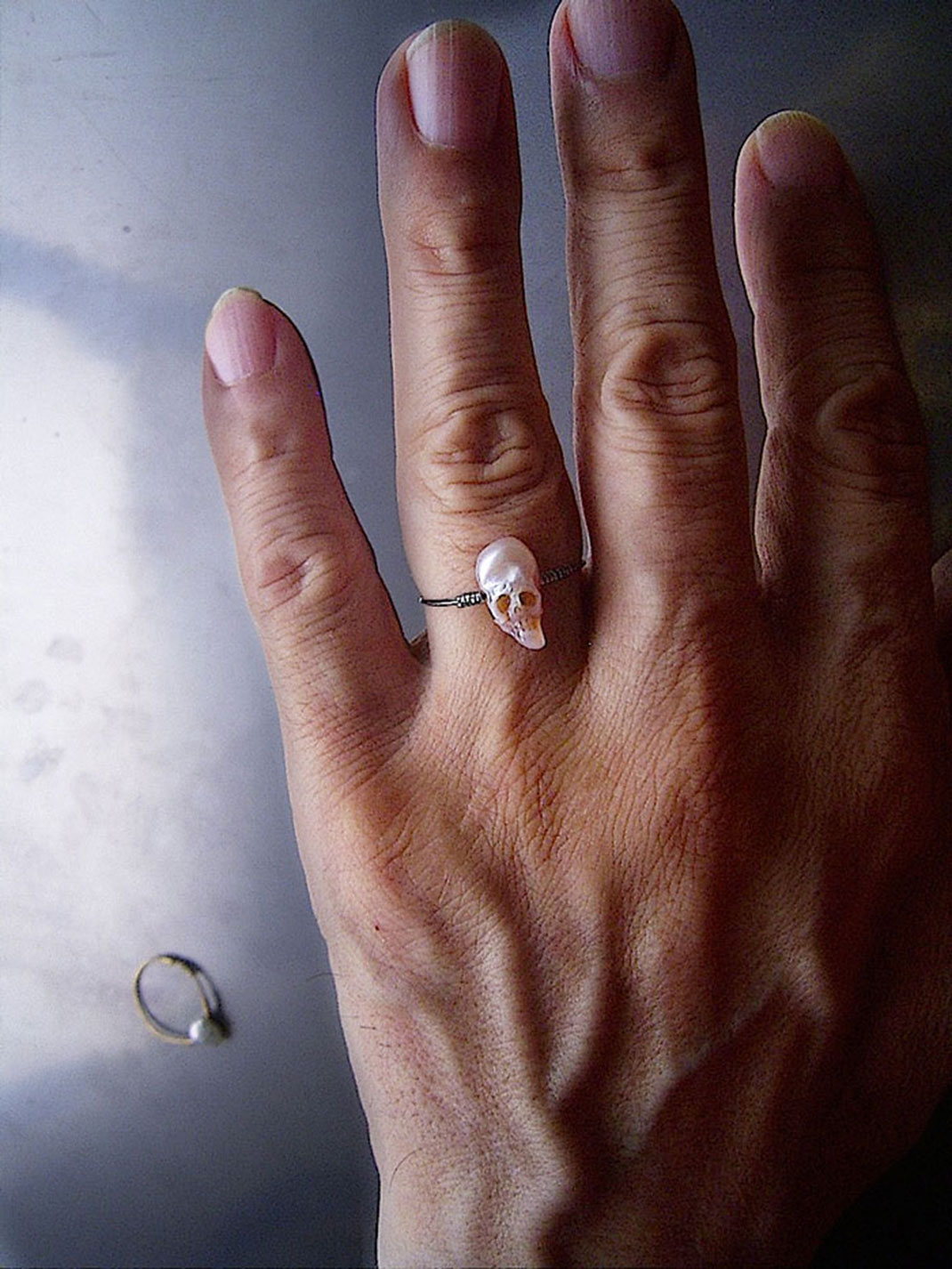 06-baguecranefine-shinjinakaba