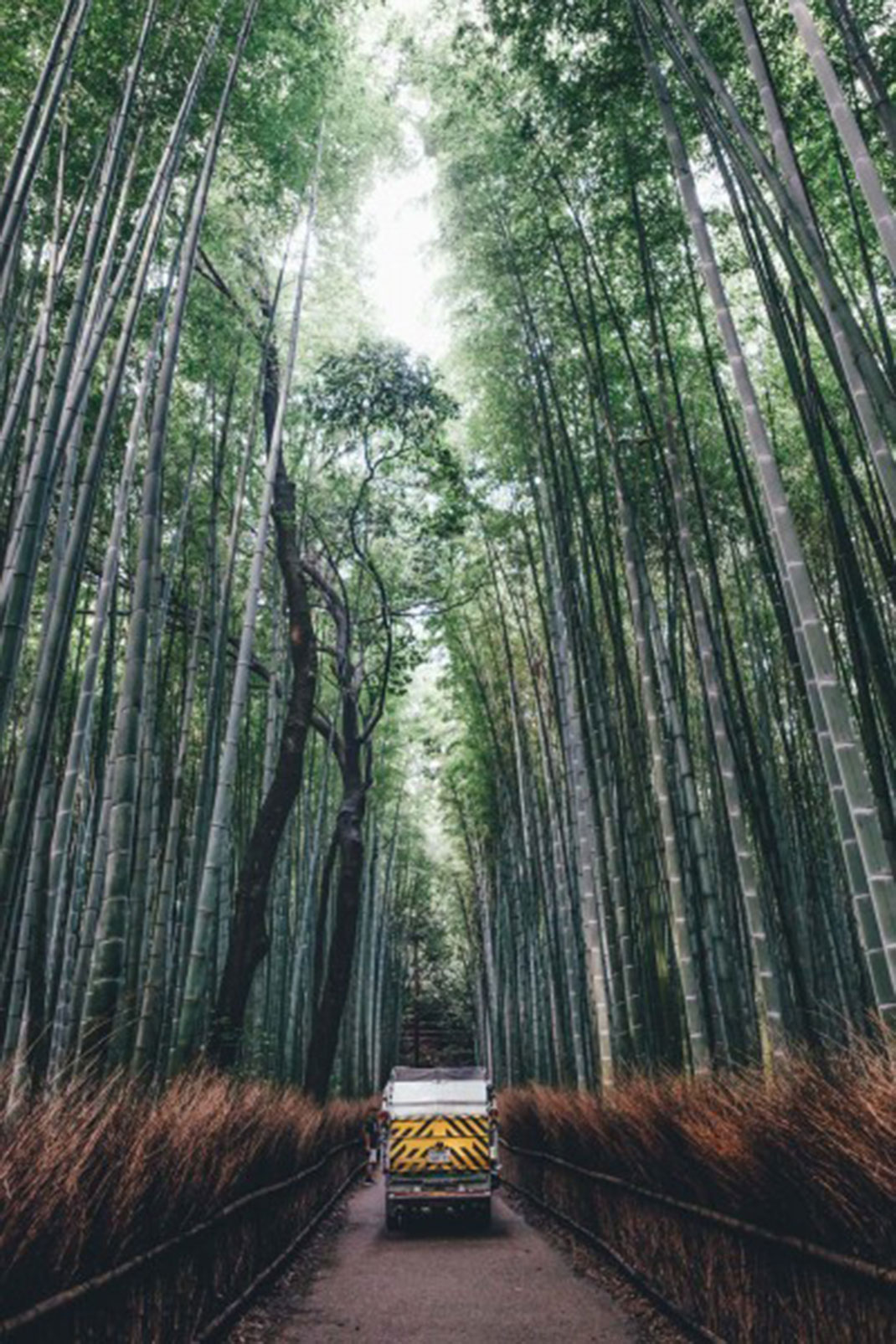 06-foretgigantesquecamion-takashiyasui