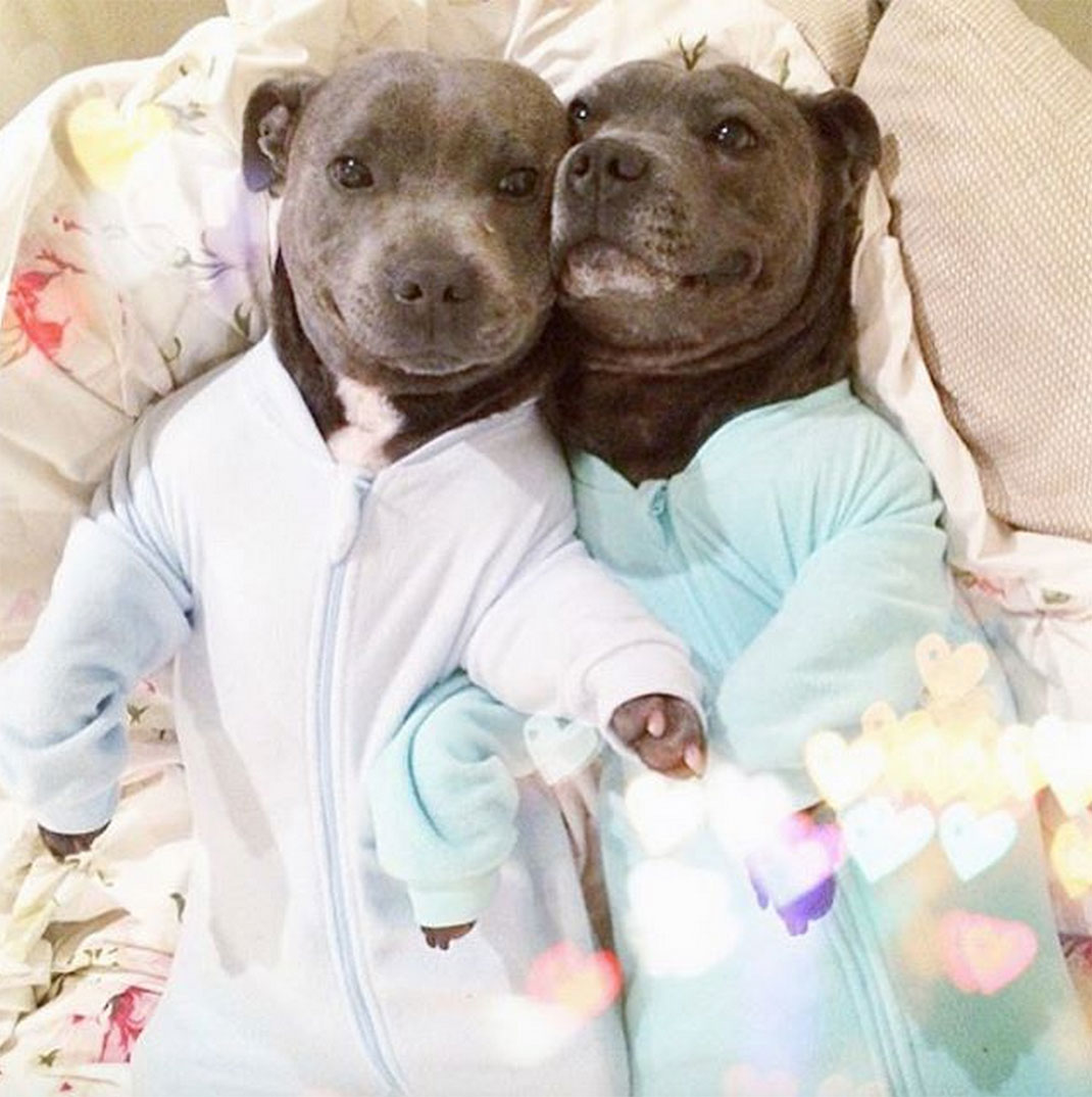 06-the_blueboys-grenouilleres