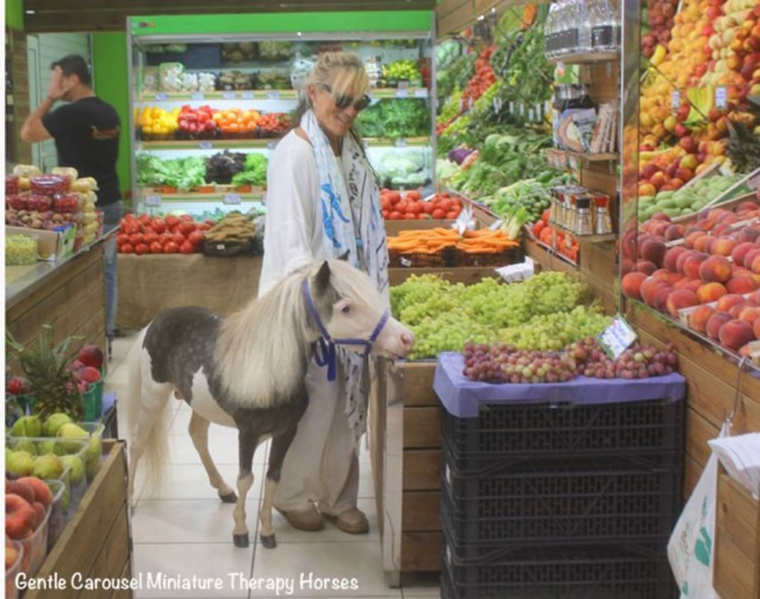 06-thérapiecheval-gentlecarousel
