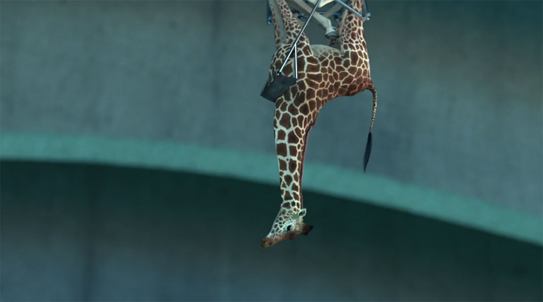 07-envers-Nicolas-Deveaux