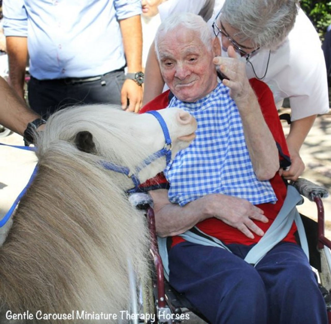 07-therapiecheval-gentlecarousel