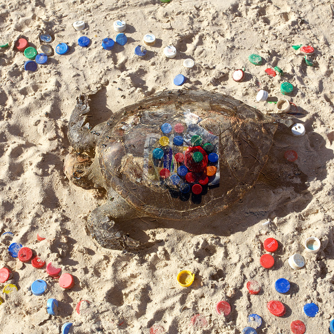 07-tortuebouchons-federicolacroze