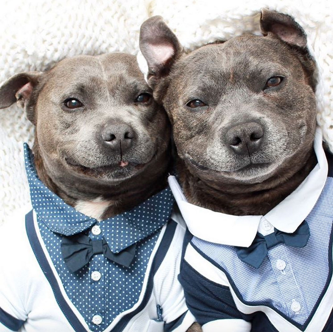 09-the_blueboys-smoking