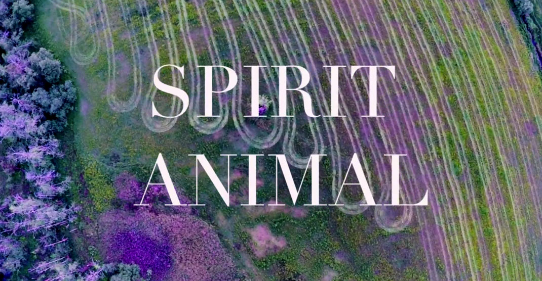 1-court-metrage-spirit