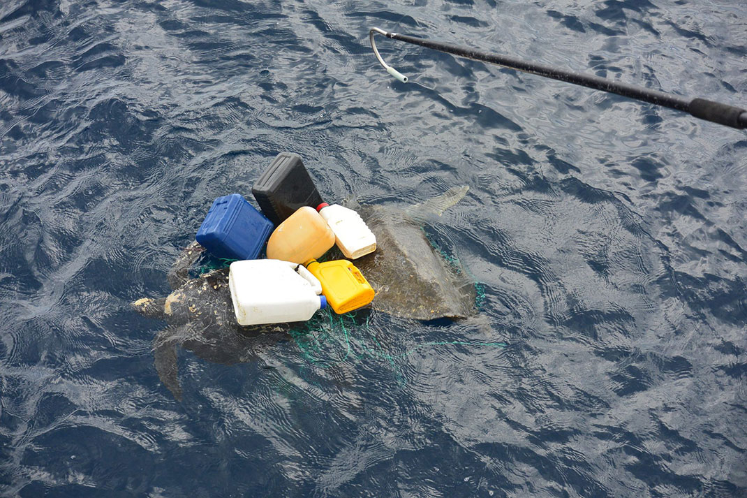 10-tortuesbarils-coastguardnews