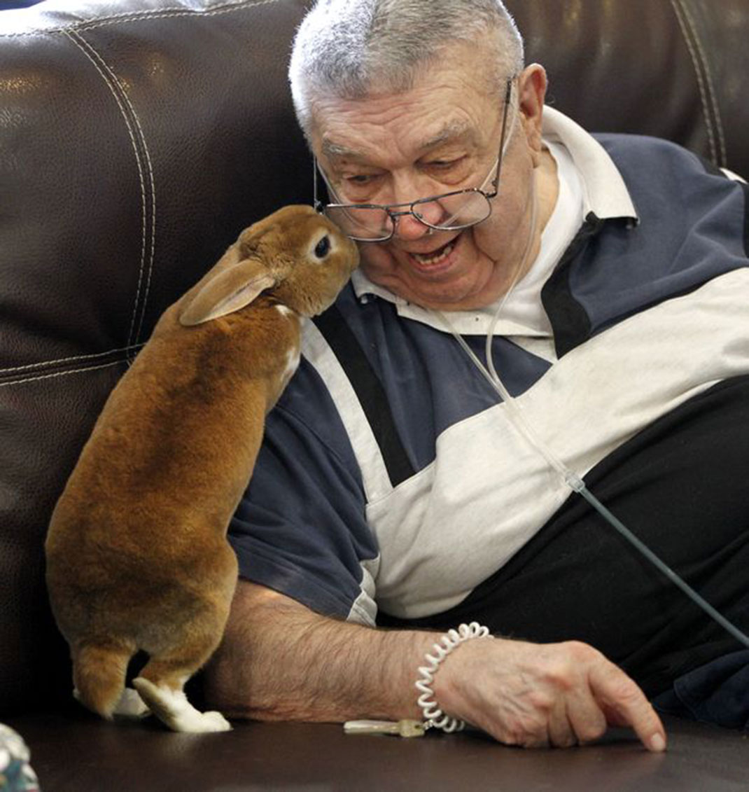 11-bunnytherapie-daytondailynews